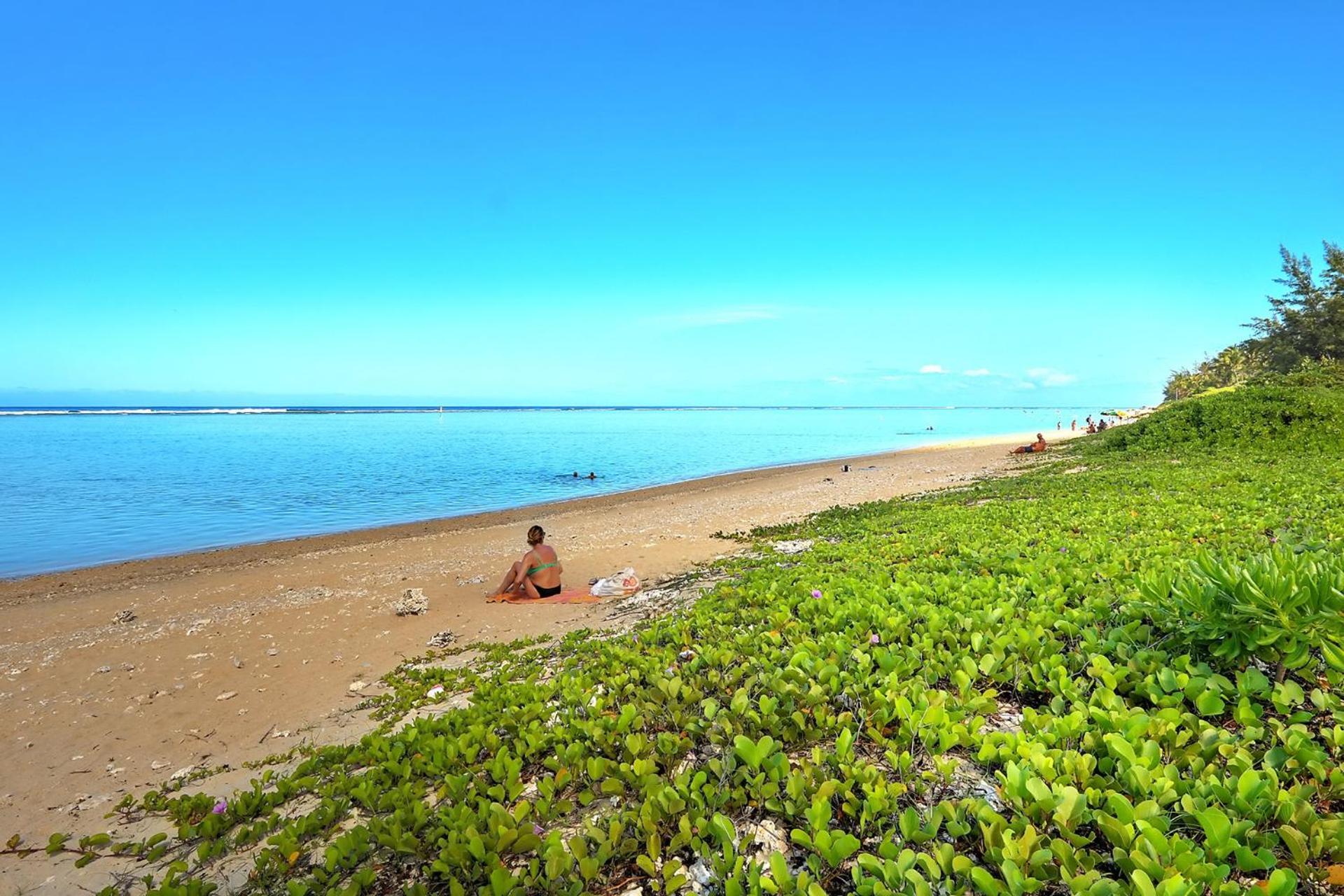 Exceptionnel ! Le Kazuarina, Tres Bel Apt F3 A 50M De La Plage De La Saline Le Bains Exteriör bild